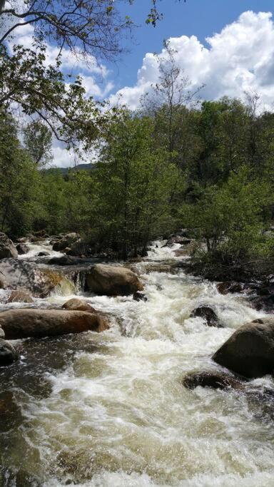 River Retreat Cabin In Three Rivers - Near Snpヴィラ エクステリア 写真