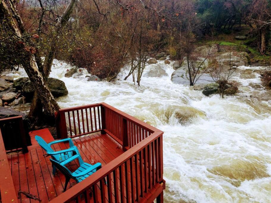 River Retreat Cabin In Three Rivers - Near Snpヴィラ エクステリア 写真