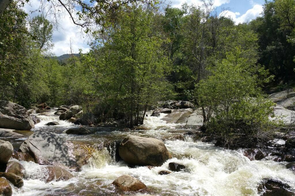 River Retreat Cabin In Three Rivers - Near Snpヴィラ エクステリア 写真