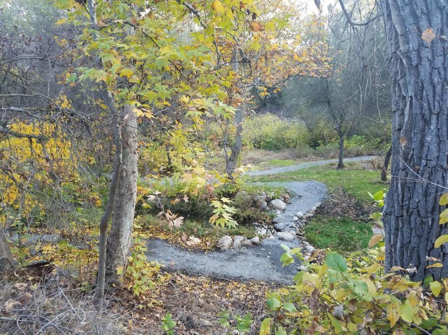 River Retreat Cabin In Three Rivers - Near Snpヴィラ エクステリア 写真